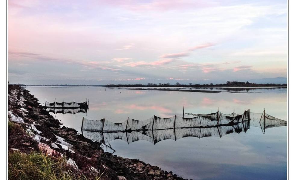 Reti, foto di Dario Tronchin.