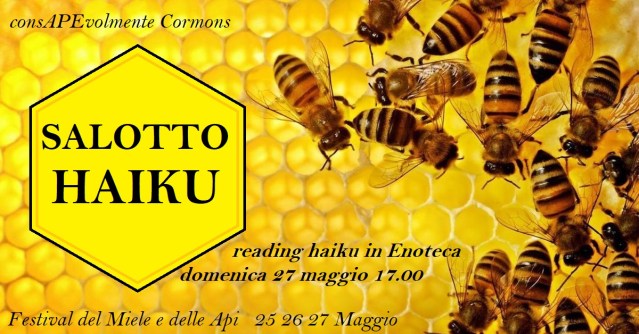 honey-bee_feature-image_1200x628